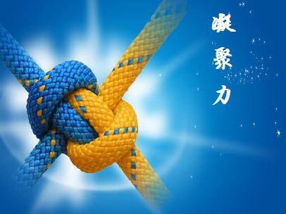《团队凝聚力》