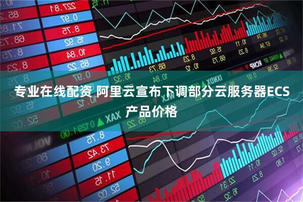 专业在线配资 阿里云宣布下调部分云服务器ECS产品价格